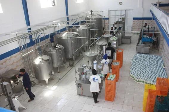 خط تولید لبنیات صنعتی و ماست بندی 3 الی 5 تن