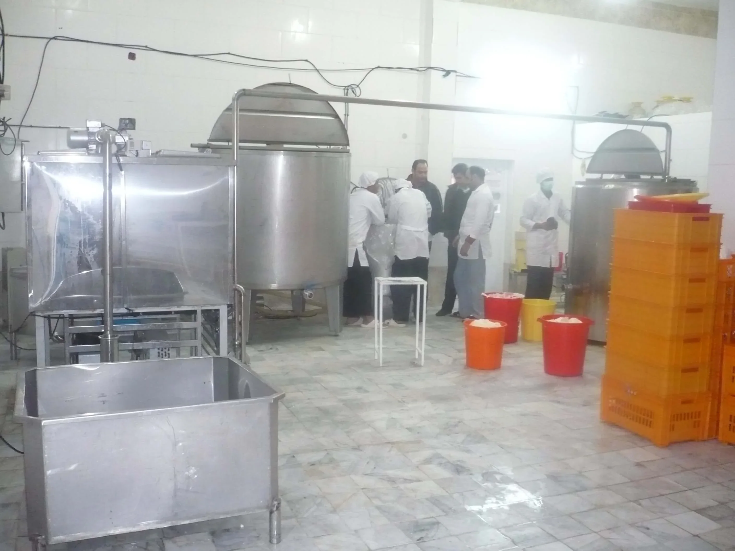 ماست بندی نیمه صنعتی